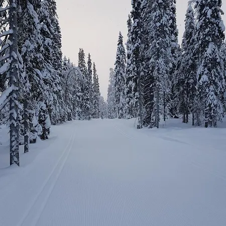 Air-conditioned Vutnusmaja At Syote
